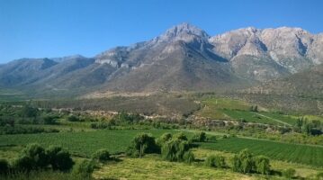 Pagar Permiso de Circulación Online o Presencial en Choapa
