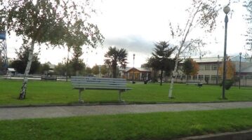 Pagar Permiso de Circulación Online o Presencial en Diguillín